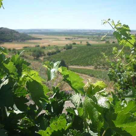 La Cantamora Hotel Rural Pesquera De Duero Εξωτερικό φωτογραφία